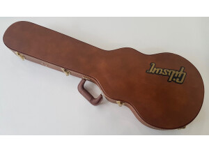 Gibson Original Les Paul Special (46074)