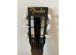 Fender FR-50 Resonator
