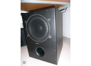 Dynaudio Acoustics BX30 [Sub]