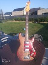 Hofner Guitars 173