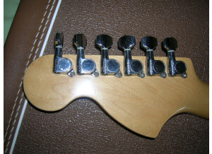 Fender Stratocaster Paisley Reissue (9617)