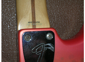 Fender Stratocaster Paisley Reissue (87841)