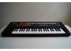 Roland SH-201 (57483)