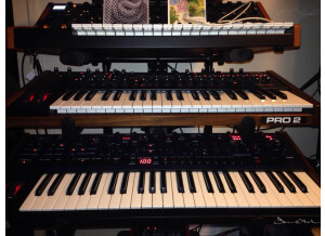 Dave Smith Instruments Pro 2 (5614)
