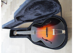The Loar LH700VS (19).JPG