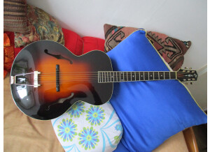 The Loar LH700VS (11).JPG