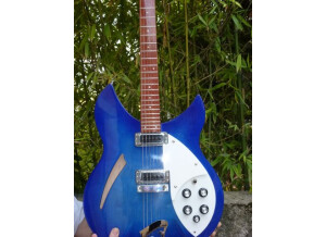 Rickenbacker 330 bleue