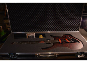 Mermet Guitares Sidh (87510)