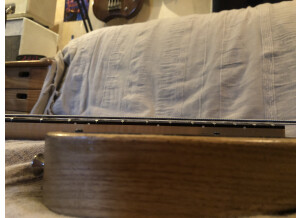 Fender Mike Dirnt Precision Bass (39214)