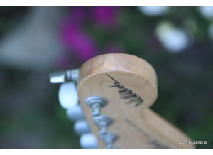 Fender Jeff Beck Stratocaster (29252)