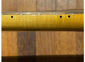 Fender Vintera '70s Stratocaster (11101)