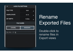 Rename Exportes Files