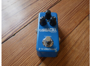 TC Electronic Flashback Mini (48556)