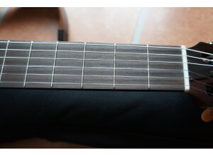 Yamaha SLG200N (55563)