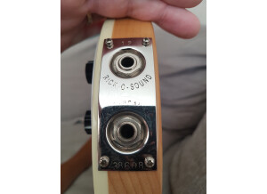 Rickenbacker 4003 (51176)
