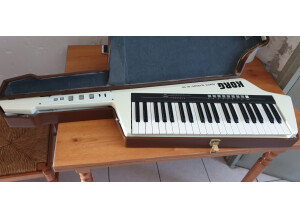 Korg RK-100 (62858)