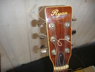 Ryan Guitars F45
