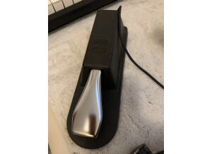 BA2CEA88-9334-4401-A30D-BF86572803F6