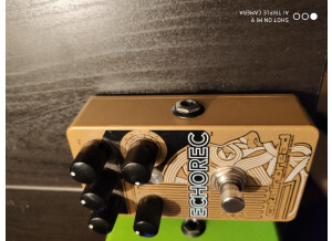 Catalinbread Echorec (16804)