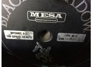 Mesa Boogie Mark IIC+ Combo (66601)