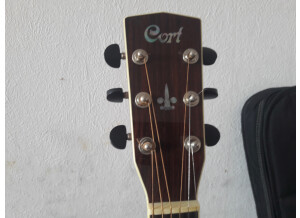 Cort Earth700 (84392)