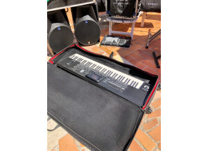 Korg Pa3X 76 (95866)