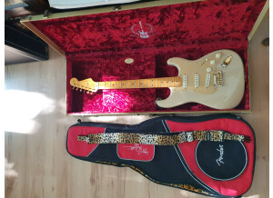 Fender 60th Anniversary Classic Player '50s Stratocaster (2014) (51616)