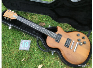Gibson The Paul (92045)