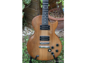 Gibson The Paul (99078)