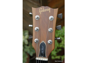Gibson The Paul (24486)