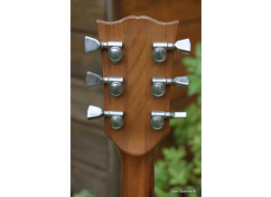 Gibson The Paul (84023)