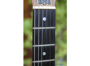 Gibson The Paul (62868)