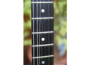 Gibson The Paul (73576)