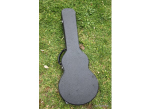 Gibson The Paul (32443)
