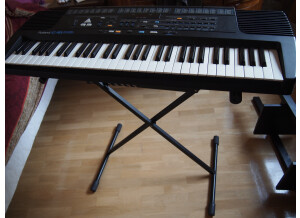 Roland E-16 (84619)
