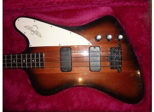 Gibson Thunderbird IV (24623)