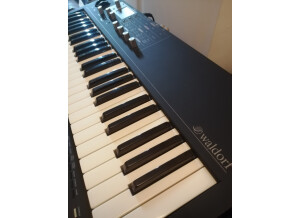 Waldorf Blofeld Keyboard (38524)