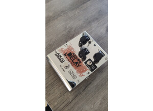 Akai Professional Analog Delay (36160)