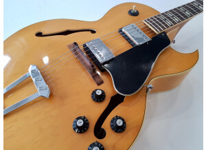 Gibson ES-175 D (1967) (58608)