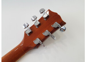 Gibson ES-175 D (1967) (40739)