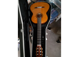 Yamaha C80 (70397)