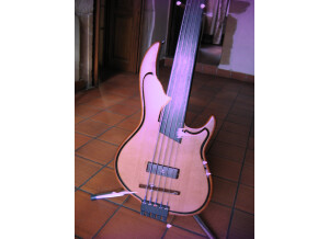 Leduc U-Bass 5 cordes fretless (31821)