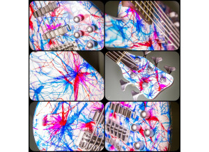D72CB0E4-EF03-40D1-819C-212FC8CAA5E0