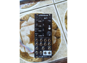 Mutable Instruments Clouds (54175)