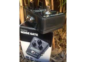 TC Electronic Sentry (13827)