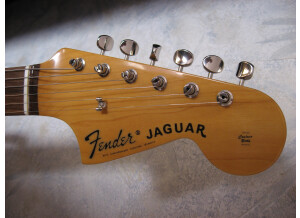 Jaguar 003