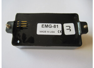 EMG 81 (6231)