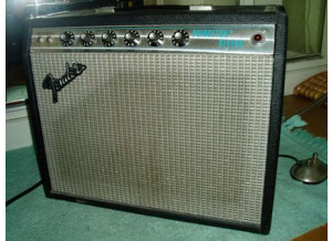 Fender Princeton (silver face)