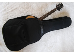 Takamine G220S