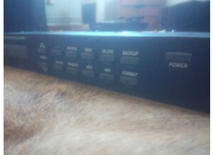 Alesis DataDisk (11738)